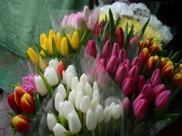 «Квіти - це духовність»: у центрі Луцька сварилися через ринок