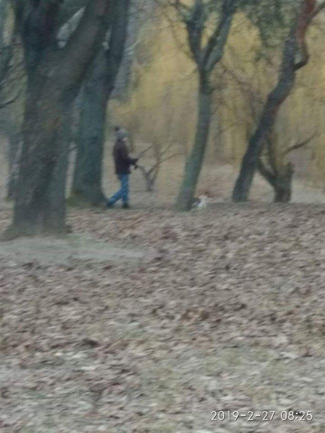 У Луцьку покарали недобросовісних собачників
