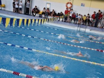 У Луцькому басейні відбулись змагання з плавання