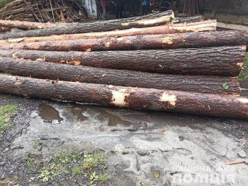 На подвір'ї у приватного підприємця з Волині знайшли крадену деревину