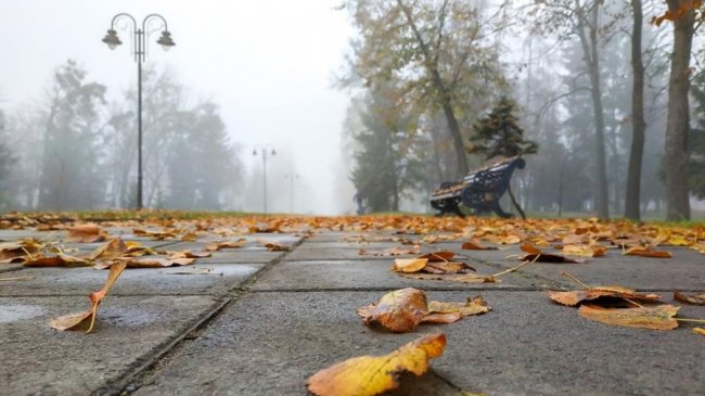 Моторошний луцький парк у полоні туману. ФОТО