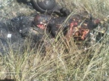 Під Луганськом знайшли обгорілі тіла чотирьох українських військових. ФОТО18+