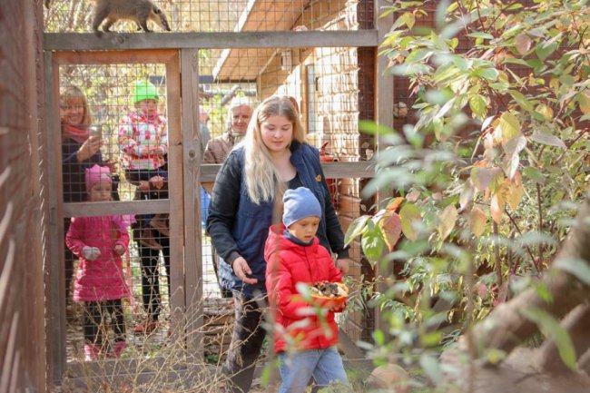 У Луцькому зоопарку відгуляли свято гарбуза: як це було. ФОТО