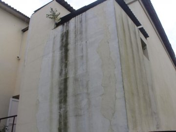 Через дірявий дах може обвалитись стіна школи на Волині. ФОТО
