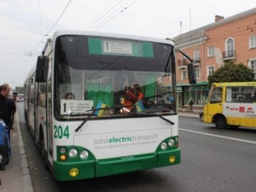 Опитування: найпопулярніший громадський транспорт Луцька - маршрутка