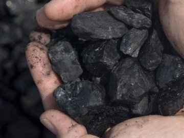 Волинському держпідприємству повернули вугілля на понад мільйон гривень