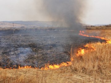 Весна прийшла: пожежі на Волині охопили 30 гектарів