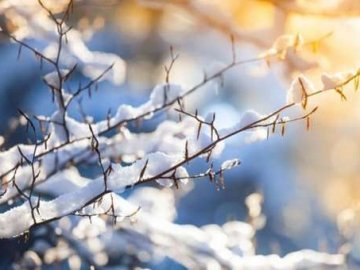 Погода в Луцьку та Волинській області на п’ятницю, 31 січня