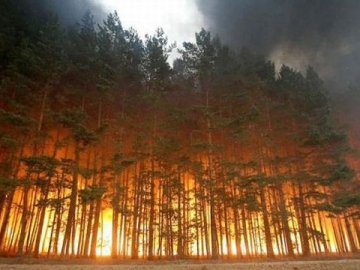 Кількість пожеж у природних екосистемах Волині значно зросла