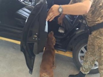 На кордоні собака «винюхав» 4 кг наркотиків