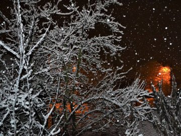 Снігопад у Луцьку. ФОТО
