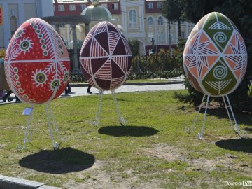 Для Луцька куплять чотири гігантські яйця