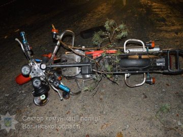 На Волині мотоцикл врізався в повалене дерево: подробиці смертельної аварії