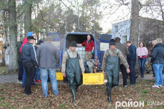 У озеро на Волині випустили майже тонну коропа. ФОТО