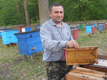 Волинянин поділився секретами заготівлі  меду на лісових пасіках