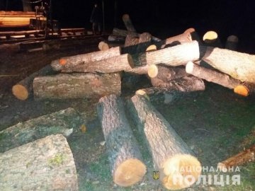 На Волині поліція вилучила у селян понад 100 колод деревини сумнівного походження 