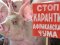 Африканська чума свиней: в одному з районів Волині триває карантин