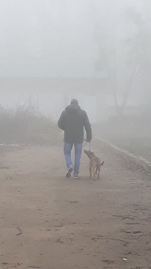 «Стаф із характером кота», - зворушлива історія про пса з луцького притулку