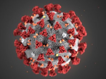 Підтвердили 480 випадків коронавірусу в Україні