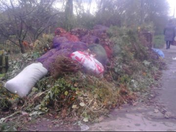 Еколихо у Нововолинську: контейнери закидали  сміттям