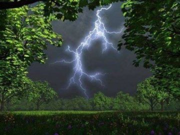 Сильний вітер та грози: на Заході України оголосили штормове попередження