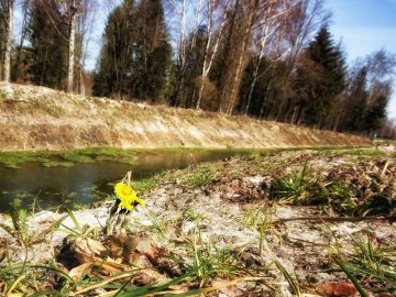 Пробудження природи: гарні світлини першого весняного тепла