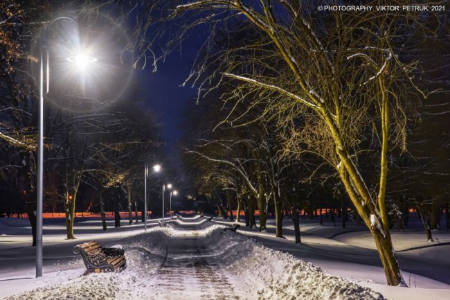 Зимова казка: опублікували неймовірні світлини вечірнього парку Луцька. ФОТО