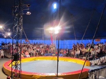 Лучани скаржаться на цирк біля «Там Таму»