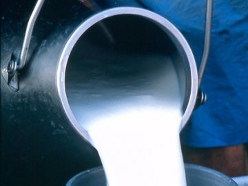 Волинським «молочникам» рекомендують не змінювати ціну сировини