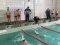 У Володимирі відбулися командні змагання з плавання