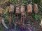 Авіаційні бомби і протипіхотні міни: на Волині знешкодили небезпечні знахідки