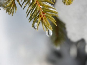 Погода в Луцьку та Волинській області на середу, 30 січня