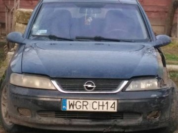 Активіст: Знайшли авто, яке збило 17-річну дівчину в Луцьку