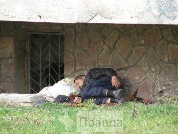 У Кіровограді, на території школи, хочуть облаштувати дім для безхатченків