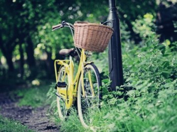 Велосипеди та продукти - від волинського нардепа