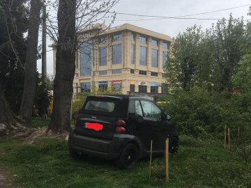 «Виїхав на природу!» У Луцьку кепкують з водія, який припаркував авто на газоні