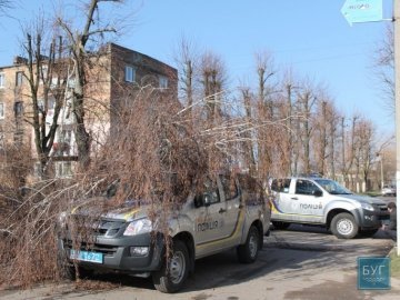 У Нововолинську дерево впало на поліцейську машину. ФОТО. ВІДЕО