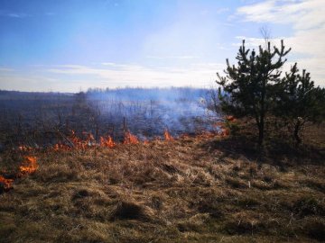 На Волині лісівники гасили підпали сухої трави