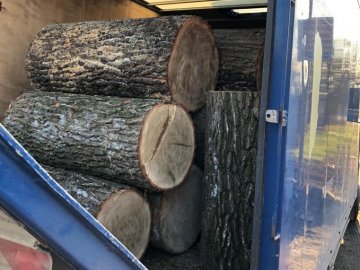 У Луцьку затримали вантажівку з краденою деревиною дуба