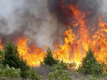 У більшості районів Волині – надзвичайна пожежна небезпека
