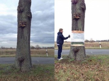 Художники змусили дерево літати. ВІДЕО