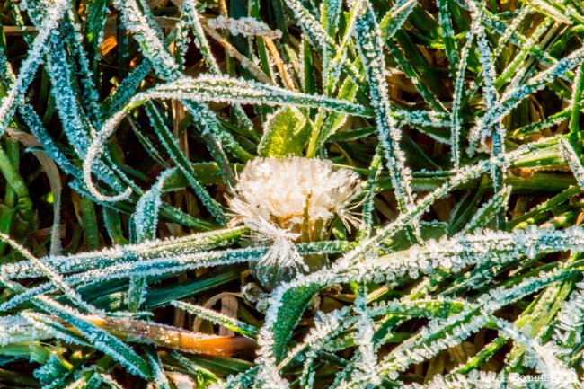 Луцьк в останній осінній день. ФОТОРЕПОРТАЖ