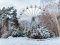 З першим весняним снігом: «снігопад» у волинському Facebook