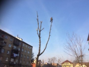 На Закарпатті рятували чоловіка з 15-метрового дерева