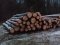 На Волині вилучили незаконну деревину вартістю 300 тисяч гривень. ФОТО