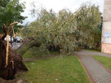 Ураган у Польщі: є загиблі і  поранені