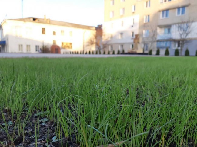 Показали, як у  Рожищі облагородили сквер. ФОТО
