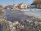 Може затопити присадибні ділянки: волинян попереджають про підвищення рівня води у річці Прип’ять