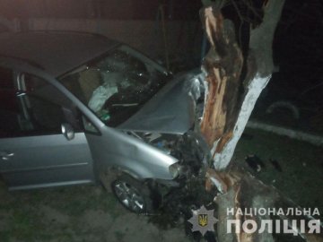 У селі під Луцьком п'яний водій за кермом Volkswagen врізався у дерево. ФОТО