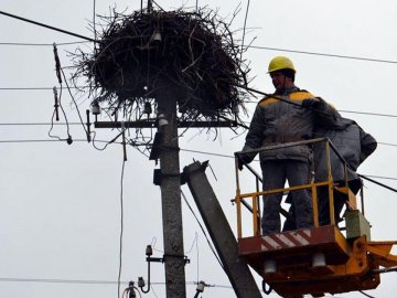 У селах Любешівщини на електроопорах встановили лелечі гнізда. ФОТО